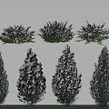 Stunning Winter Snow Covered Shrubs With Various Shapes Green Foliage And White Snow