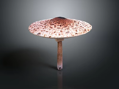 Fresh Spotted Mushroom With Brown And White Cap On Dark Background Stem 3d model
