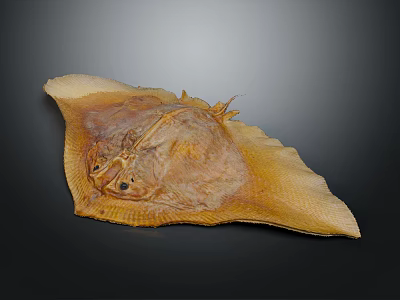 Brown Flat Stingray Specimen Featuring Yellow Wing Like Fins On Dark Background 3d model