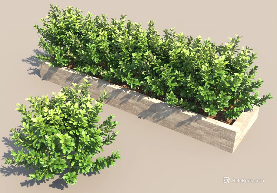 Lush Green Leafy Shrubs In Rectangular Stone Planter For Outdoor Garden 3d model 