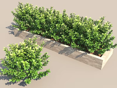 Lush Green Leafy Shrubs In Rectangular Stone Planter For Outdoor Garden 3d model