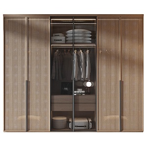 Modern wardrobe 3d model