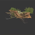Modern Natural Landscape Decor with Brown Rock Green Plants and Twisted Tree Roots