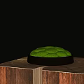 Moss Covered Bonsai Plant In Metal Pot On Wooden Base With Dark Background