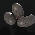 Realistic Cracked Egg With Baby Dinosaur And Surrounding Eggs On Black Background