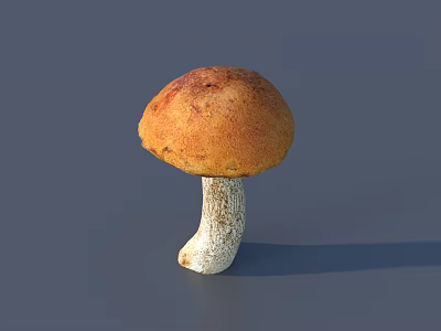 Cartoon Scene Featuring Cute Mushroom With Orange Cap White Stem On Gray Background 3d model