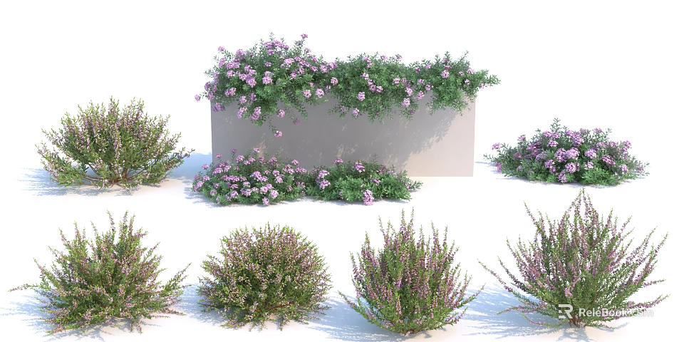 Various Types Of Shrubs With Purple Flowers And Green Leaves For Garden 3d model 