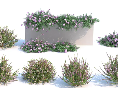 Various Types Of Shrubs With Purple Flowers And Green Leaves For Garden 3d model