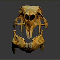 Detailed Animal Skull With Natural Brownish Texture On Dark Reflective Surface
