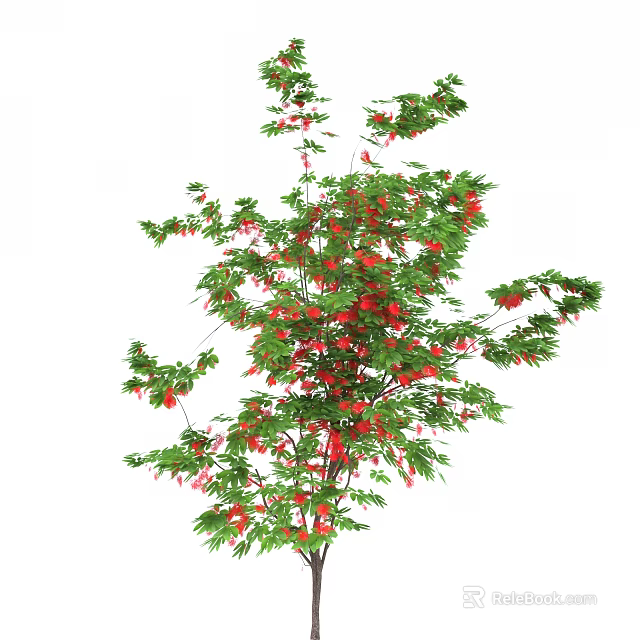 Lush Arbor With Green Leaves And Red Hanging Fruits In Natural View 3d model 