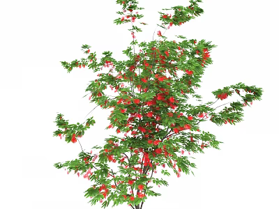 Lush Arbor With Green Leaves And Red Hanging Fruits In Natural View 3d model