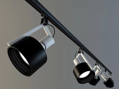 Modern Track Mounted Downlights And Spotlights With Black White Finish For Home Lighting 3d model