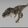Realistic Detailed Reptile Dinosaur TRex Model Featuring Sharp Teeth Textured Skin Standing Posture 3d model