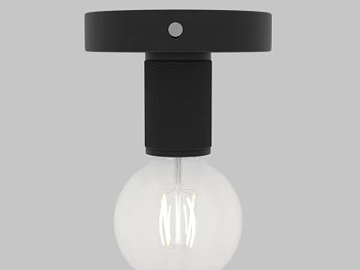 Modern Black Minimalist Pendant Light With Transparent Bulb And Metal Ceiling Mount 3d model