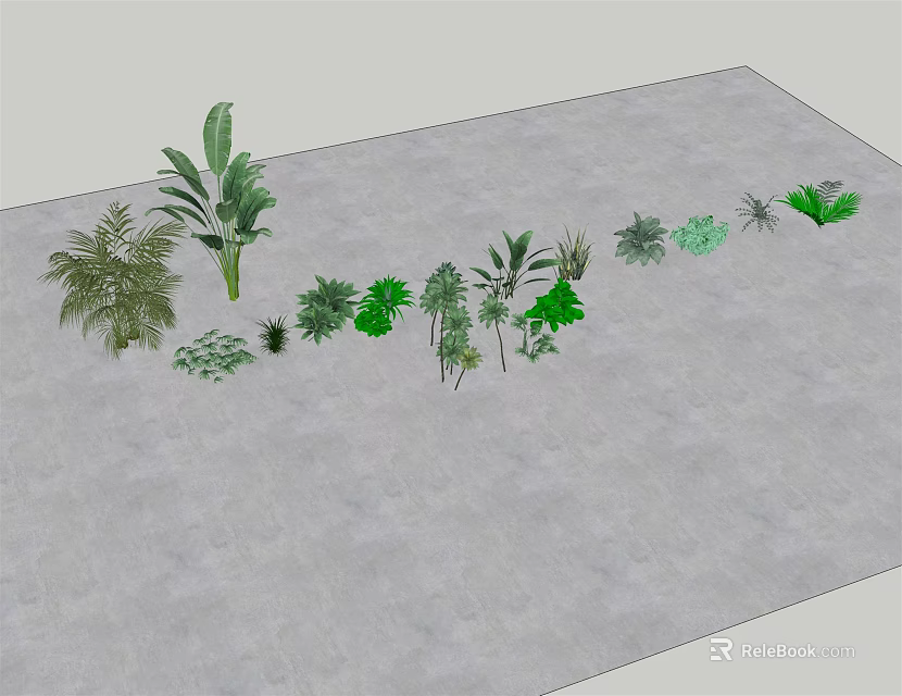 Diverse Green Plants Arranged On Gray Ground With Various Leafy Varieties 3d model 
