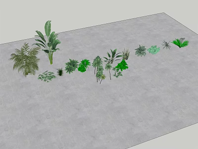 Diverse Green Plants Arranged On Gray Ground With Various Leafy Varieties 3d model