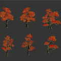 Arbor With Vibrant Orange Red Leaves And Natural Autumn Tree Shapes