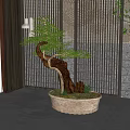 Artistic Bonsai Plant In Ceramic Pot With Lush Green Leaves And Moss For Modern Decor