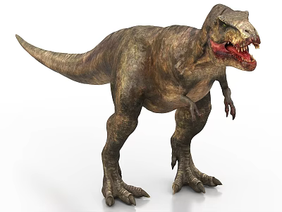 Realistic Tyrannosaurus Rex Dinosaur 3D Model With Open Mouth And Sharp Teeth 3d model
