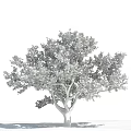 The Modern Tree 3d model