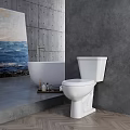 Modern White Toilet in Bathroom with Bathtub Gray Wall and Seascape Painting