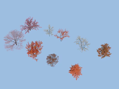 Colorful Autumn Trees With Red Orange Brown And White Foliage In Blue Sky 3d model