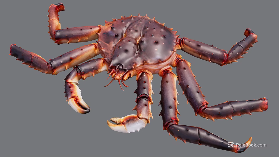 Giant King Crab With Large Claws And Long Spotted Legs On Gray Background 3d model 
