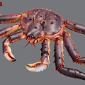 Giant King Crab With Large Claws And Long Spotted Legs On Gray Background