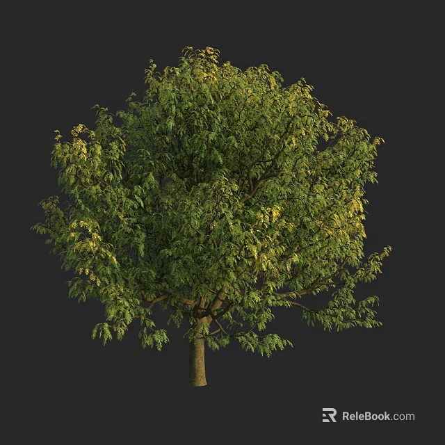 Lush Arbor With Vibrant Green Leaves And Strong Trunk In Natural Setting 3d model 