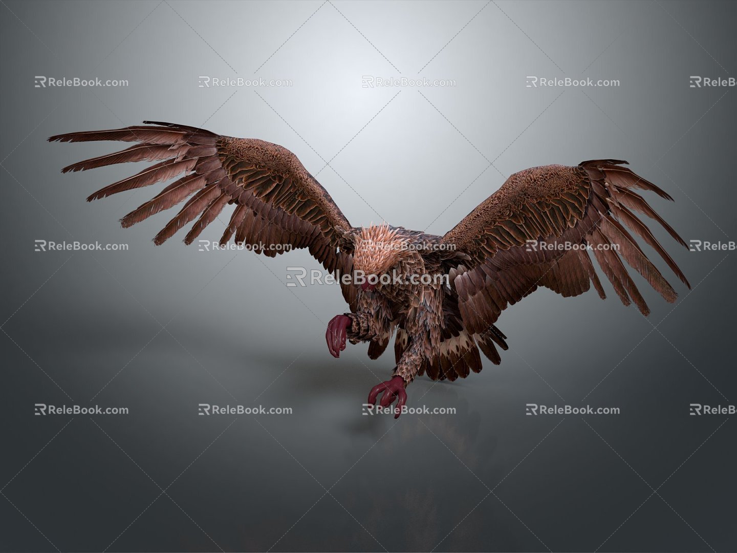 Modern Eagle Large Eagle Raptor 3d model