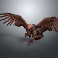 Majestic Brown Eagle Soaring With Spread Wings And Sharp Talons As Flying Animal