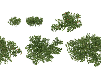 Modern shrubs 3d model