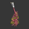 Human Lung Organ Anatomical 3D Model with Bronchial Tree and Pulmonary Tissues
