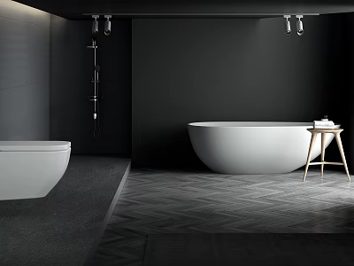 Modern Bathroom With White Freestanding Bathtub Shower Fixture Toilet Black Walls And Geometric Tiled Floor 3d model