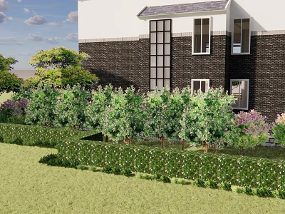 Modern Garden Plants 3d model