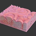 3D Anatomical Cross Section Model of Skin Organ with Hair Follicles