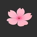 Botanical Illustration of Pink Flower With Yellow Stamen and Dark Background