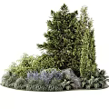 Lush Shrubs in Garden Landscape With Various Green Plants and Natural Stone
