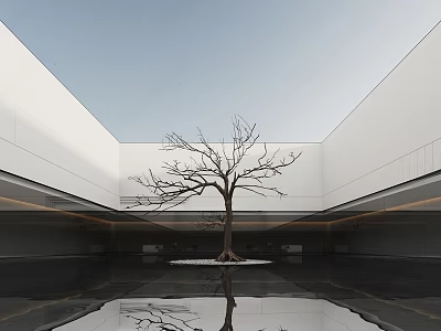 Modern Minimalist Courtyard Landscape With Bare Tree And Reflective Water Surrounded By Clean White Walls 3d model