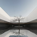 Modern Minimalist Courtyard Landscape With Bare Tree And Reflective Water Surrounded By Clean White Walls