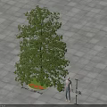 Arbor With 8 Meters Height On Paved Ground Circular Flower Bed Green Grass Red Flowers
