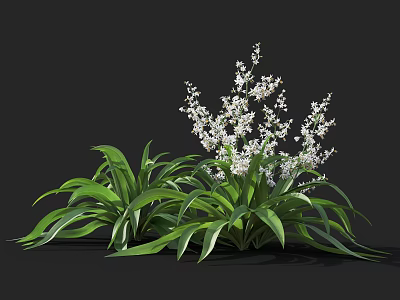 Green Leafy Plants With Small White Flowers Growing In Natural Setting 3d model