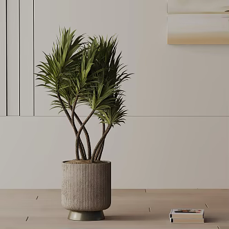 Modern Potted Plant 3d model