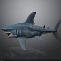 Blue Shark 3D Model with Open Mouth on Gray Reflective Background 3d model