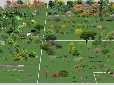 Various Tree Species With Colorful Foliage In Landscaped Garden Setting 3d model