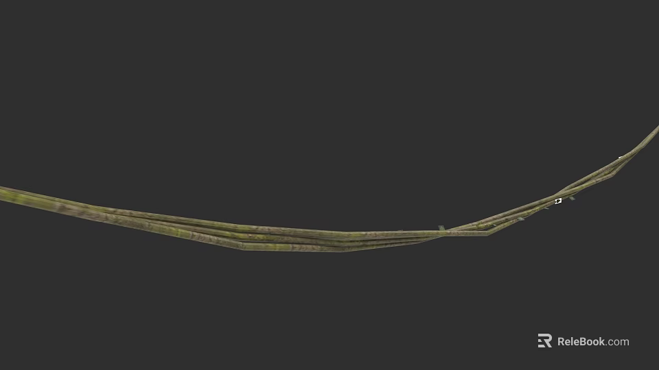 Long Green Natural Vine With Textured Surface And Curved Growth Pattern 3d model 