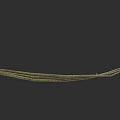 Long Green Natural Vine With Textured Surface And Curved Growth Pattern