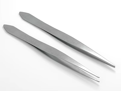 Stainless Steel Precision Tweezers With Fine Tips For Medical Surgical Instruments 3d model