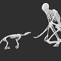Human And Animal Skeleton Models In Interactive Pose On Black Background