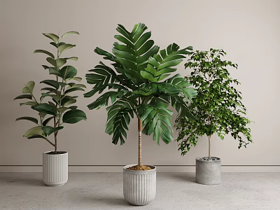 Various Lush Green Leaf Potted Plants In Different Ceramic Pots For Indoor Home Decor 3d model